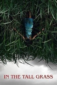 Download In The Tall Grass (2019) Full Movie In English 480p [300MB] | 720p [800MB]