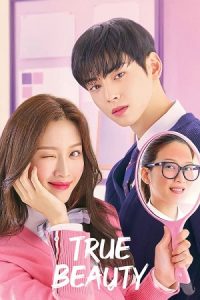Download True Beauty (Season 1) Dual Audio {Hindi-Korean} K-Drama Series 480p 720p & 1080p NF WEB-DL