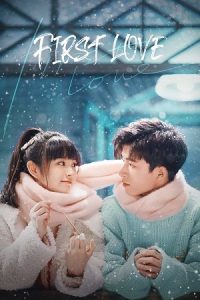 Download First Love (Season 1) Hindi ORG Dubbed C-Drama Series 480p 720p & 1080p WEB-DL
